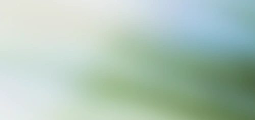 A share at a custodian, mirrored as a token on Solana, held in your wallet